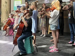 505 Suzuki Collective