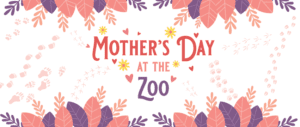 Mothers Day at the Zoo